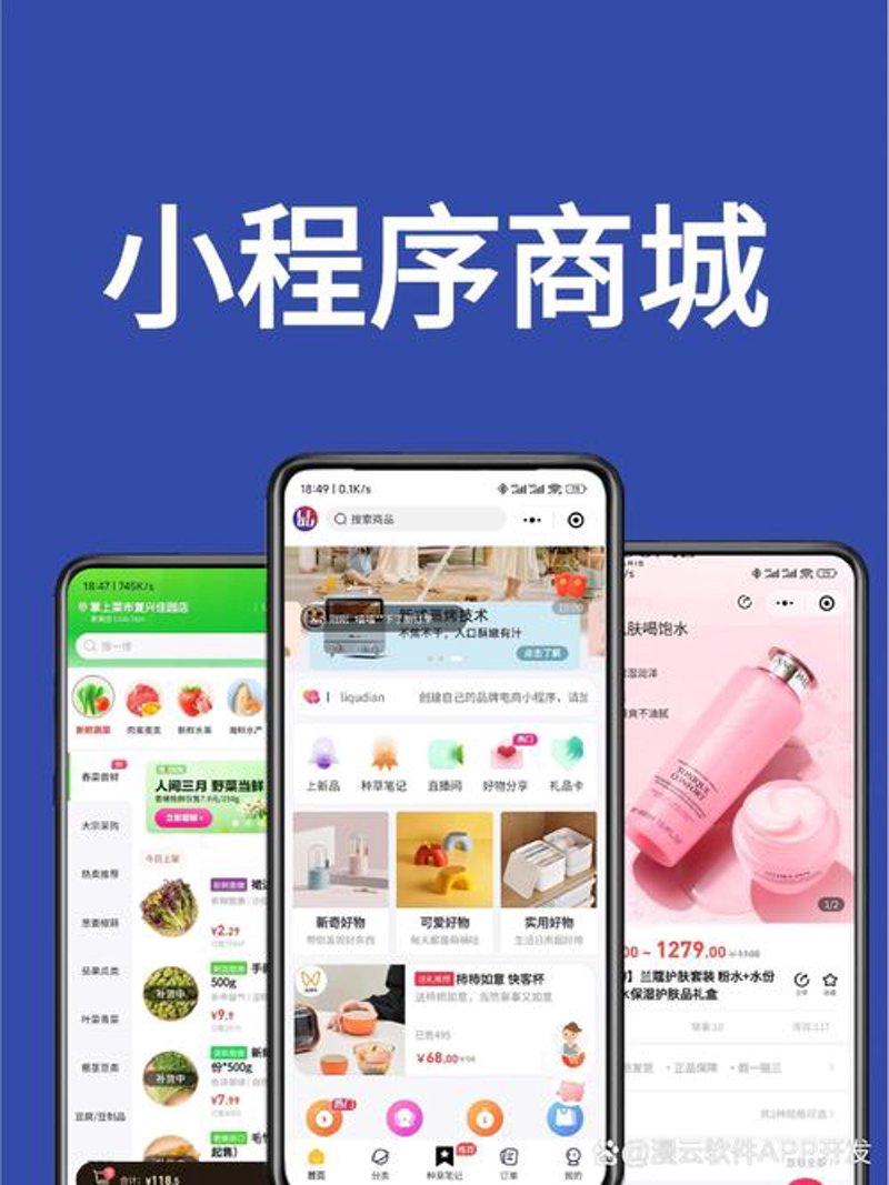 企业系统开发：信息化时代的加速器